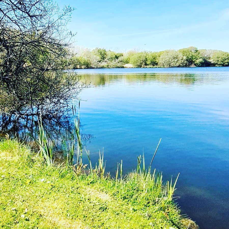 Étang de pêche dans le Morbihan