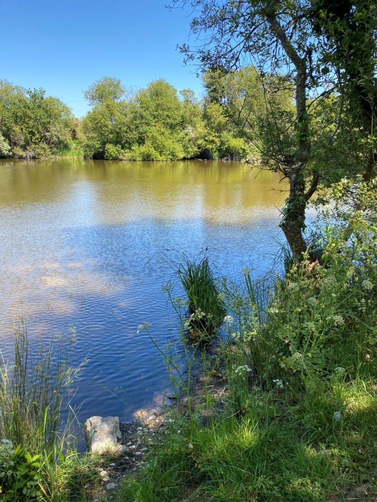 Lac de pêche près du camping