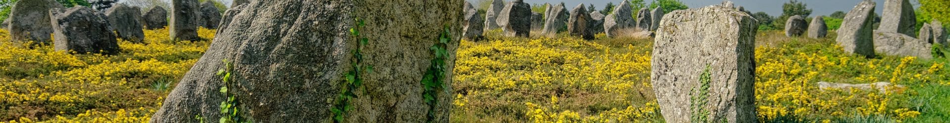 Paysage de Menhirs à la Ria d'Etel