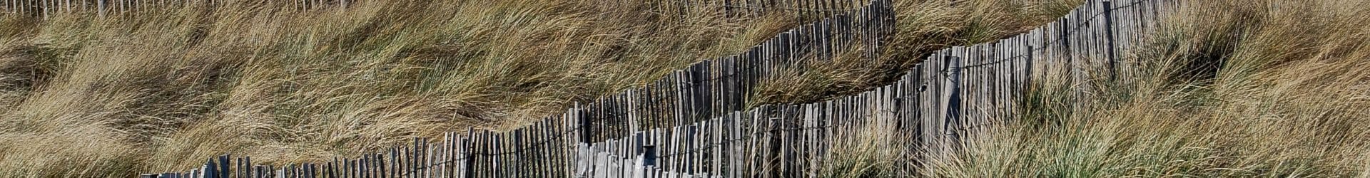 Plages Morbihan